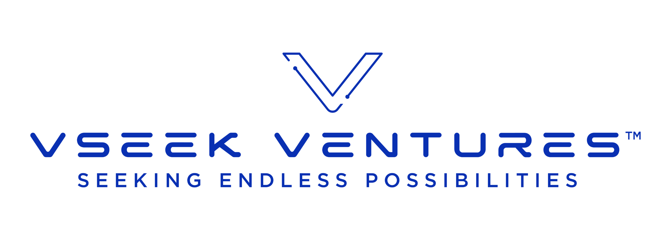 VSeek Ventures