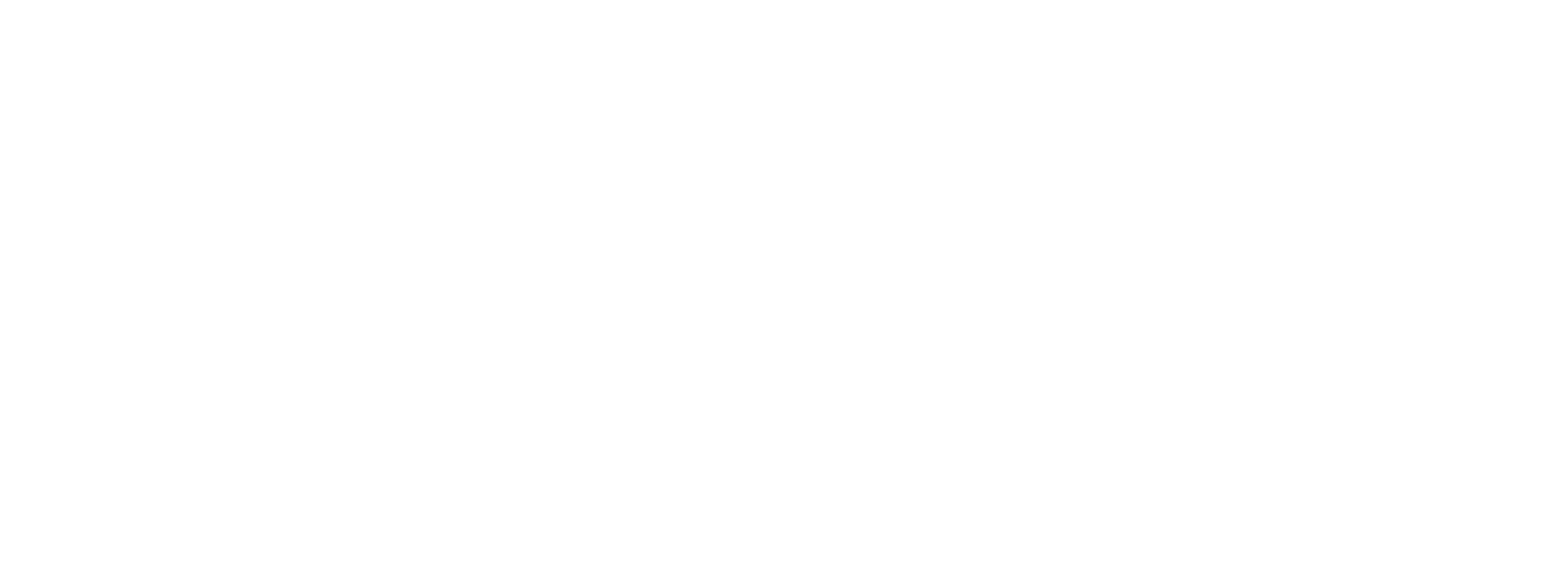 VSeek Ventures